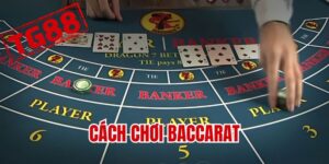 Cách chơi baccarat tại Tg88