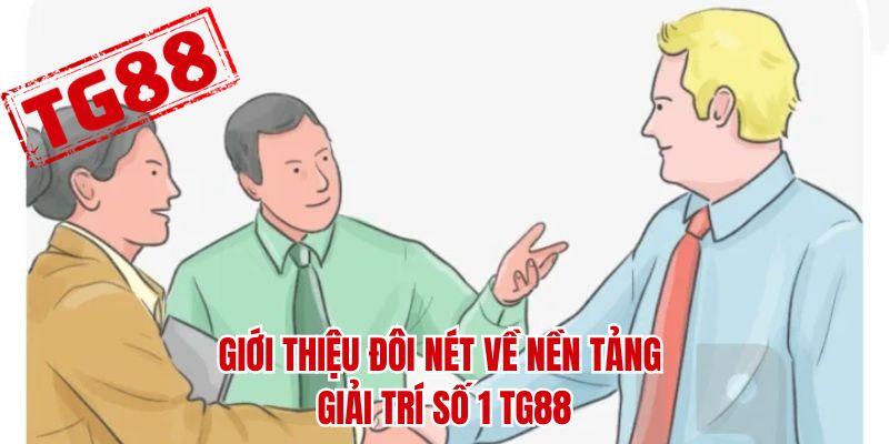 Giới thiệu đôi nét về nền tảng giải trí số 1 tg88