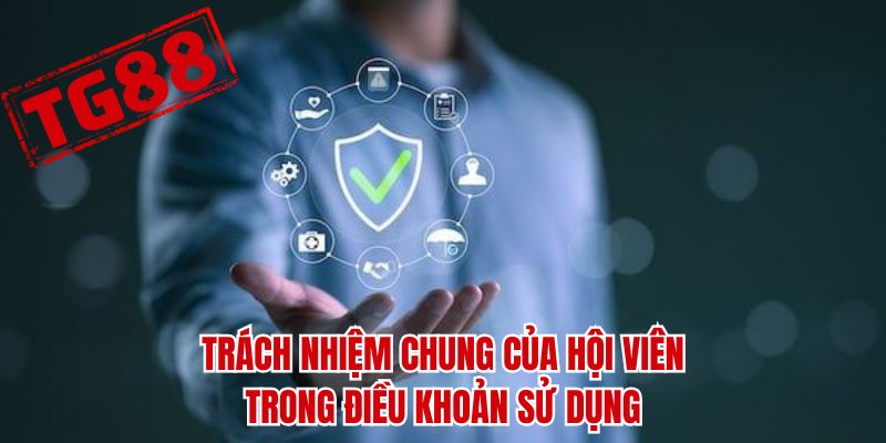 Trách nhiệm chung của hội viên trong điều khoản sử dụng